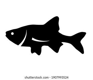 Vector black silhouette of fish on white background