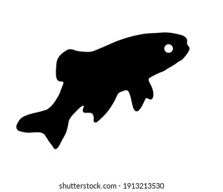 Vector black silhouette of fish on white background