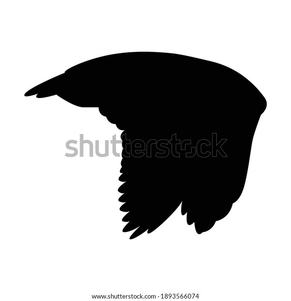 Vector Black Silhouette Flying Owl Isolated Stock Vector (Royalty Free ...