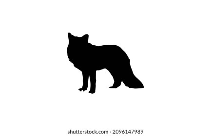vector black silhouette of a Fox illustration design