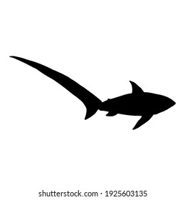 Silueta negra vectora de Fox Shark. Tiburón Thresher Común. Ilustración de Alopias Pelagicus.