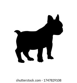 Vector black silhouette of french bulldog isolated on white background