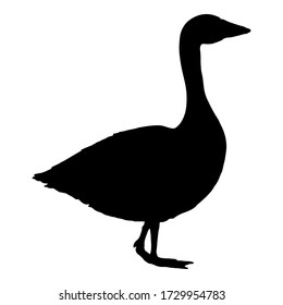 Vector Black Silhouette of Goose