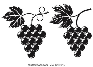 Vector black silhouette of grapes isolated on a white background
