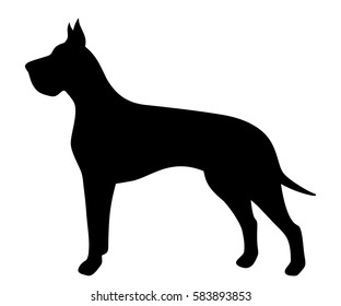 Vector black silhouette of a Great Dane dog isolated on a white background.