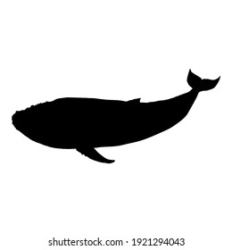 Vector Black Silhouette of Humpback Whale