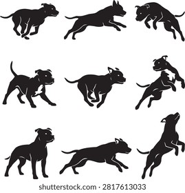 Vector black silhouette icon set featuring nine distinct pitbull american staffordshire terrier dog poses, showing running, leaping, playing, standing, stretching, jumping, and alert action positions, isolated on a white background.
