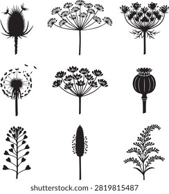 Vector black silhouette icon set featuring nine distinct wild seed pods and botanical seed heads, including teasel head, cow parsley umbel, allium seed head, dandelion blowing seeds, 