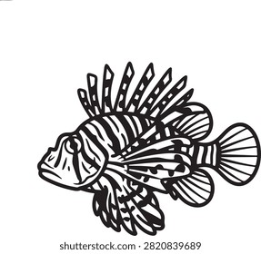 Vector black silhouette illustration featuring a detailed venomous lionfish Pterois, showing ornate striped body patterns, fan-like pectoral fins, and spiky dorsal spines, isolated on a white background.
