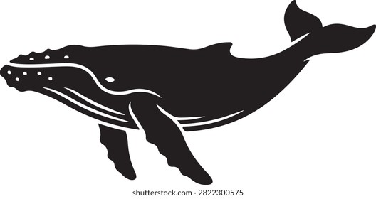 Vector black silhouette illustration featuring a humpback whale Megaptera novaeangliae swimming, showing long pectoral flippers, bumps on head, grooved throat, and raised tail fluke, isolated on a white background.

