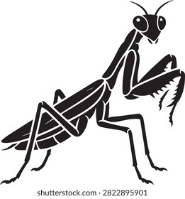Vector black silhouette illustration featuring a praying mantis Mantodea insect showing triangular head with compound eyes, raptorial forelegs, and slender body, isolated on a white background.
