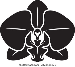Vector black silhouette illustration featuring a blooming tropical moth orchid flower Orchidaceae blossom with wide petals and central labellum lip, isolated on a white background.
