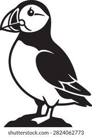 Vector black silhouette illustration featuring an Atlantic puffin Fratercula arctica seabird standing on a rock, showing detailed beak stripes and plumage, isolated on a white background.
