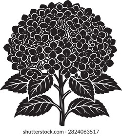Vector black silhouette illustration featuring a blooming hydrangea flower head Hydrangea macrophylla with dense flower clusters, stem, and veined leaves, isolated on a white background.
