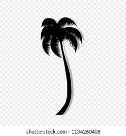 Vector black silhouette illustration of  palm tree icon isolated on transparent background. 