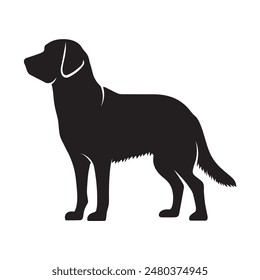 Vector black silhouette of a labrador retriever dog isolated on a white background.