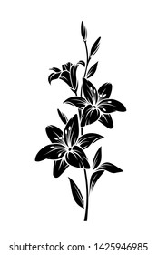 Vector black silhouette of lily flowers.