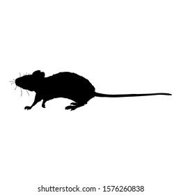 Vector Black Silhouette of Mouse