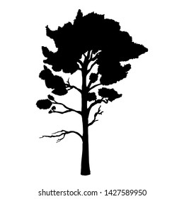 Vector Black Silhouette of Pine Tree