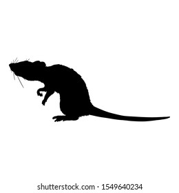 Vector Black Silhouette of Rat