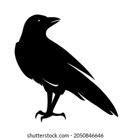 Vector black silhouette of a raven bird isolated on a white background.