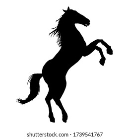 Vector Black Silhouette Rearing Horse