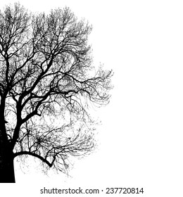 Vector black silhouette of tree