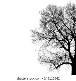 Vector black silhouette of tree