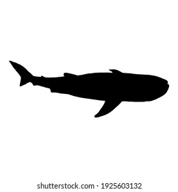 Vector Black Silhouette of Whale Shark. Rhincodon Typus Illustration.