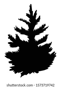 Vector, black silhouette of young spruce, Christmas tree without decoration. Full plant. Motives of nature, forest, wood, holidays