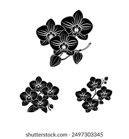 Vector black silhouettes of orchid flower in white background  