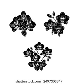 Vector black silhouettes of orchid flower in white background  