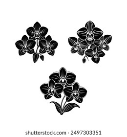 Vector black silhouettes of orchid flower in white background  