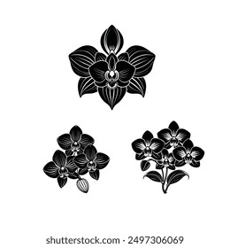 Vector black silhouettes of orchid flower in white background