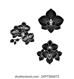 Vector black silhouettes of orchid flower in white background