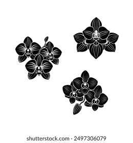 Vector negro siluetas de flor de orquídea en el fondo blanco