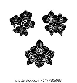 Vector black silhouettes of orchid flower in white background
