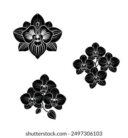 Vector black silhouettes of orchid flower in white background