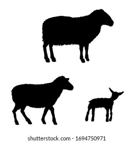 1,716 Baby lamb silhouette Images, Stock Photos & Vectors | Shutterstock