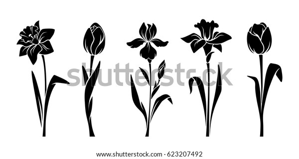 白い背景にベクター画像の黒い春の花のシルエット チューリップ 鳴水仙 アイリス のベクター画像素材 ロイヤリティフリー