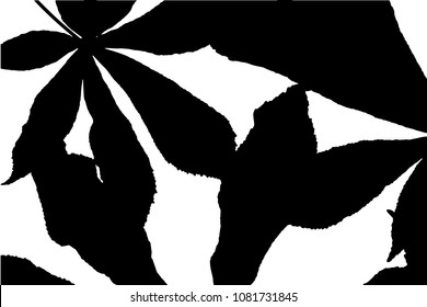 Vector black silhouettes of tropical leaves, palms, trees, foliage. Design elements of tropical nature. Stylized images and simple shapes for logos and natural decor