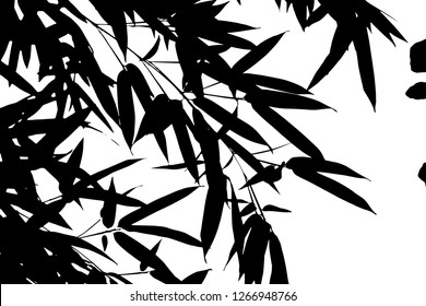 Vector black silhouettes of tropical leaves, palms, trees, foliage. Design elements of tropical nature. Stylized images and simple shapes for logos and natural decor