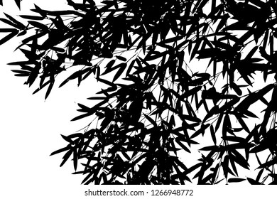 Vector black silhouettes of tropical leaves, palms, trees, foliage. Design elements of tropical nature. Stylized images and simple shapes for logos and natural decor