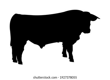 Vector black simple silhouette of a cow, cattle, or bull isolated on white background. Illustration of a farm animal, livestock.