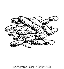 Vector black sketch bacteria isolated on white backgtound. Microbe in medical therapy. Germ illness element. Hand painted bacterium for medicine concept