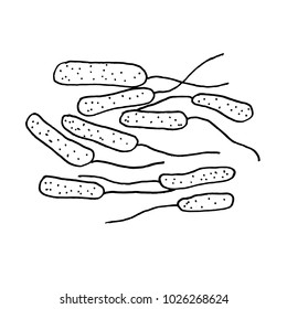 Vector black sketch bacteria isolated on white backgtound. Microbe in medical therapy. Germ illness element. Hand painted bacterium for medicine concept