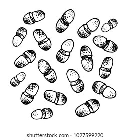 Vector black sketch bacteria isolated on white backgtound. Microbe in medical therapy. Germ illness element. Hand painted bacterium for medicine concept