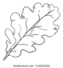 Vector Black Sketch Illustration - Leaf of Oak Tree