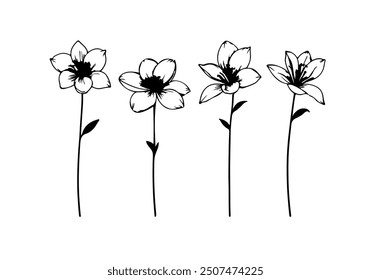 Vector Black Sketch Line Drawing Set Of Plants Black Sketch of Flowers Isolated on White Background. Flowers Linear Illustration. Minimalist Botanical Set