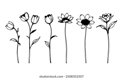 Vector Negro Boceto Línea Dibujo Conjunto De Plantas Negro Boceto De Flores Aisladas Sobre Fondo Blanco. Ilustración lineal de flores. Conjunto botánico minimalista